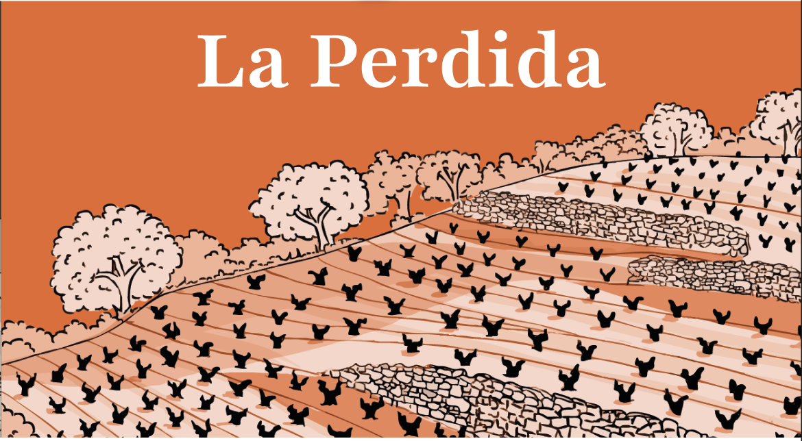 Finca la perdida