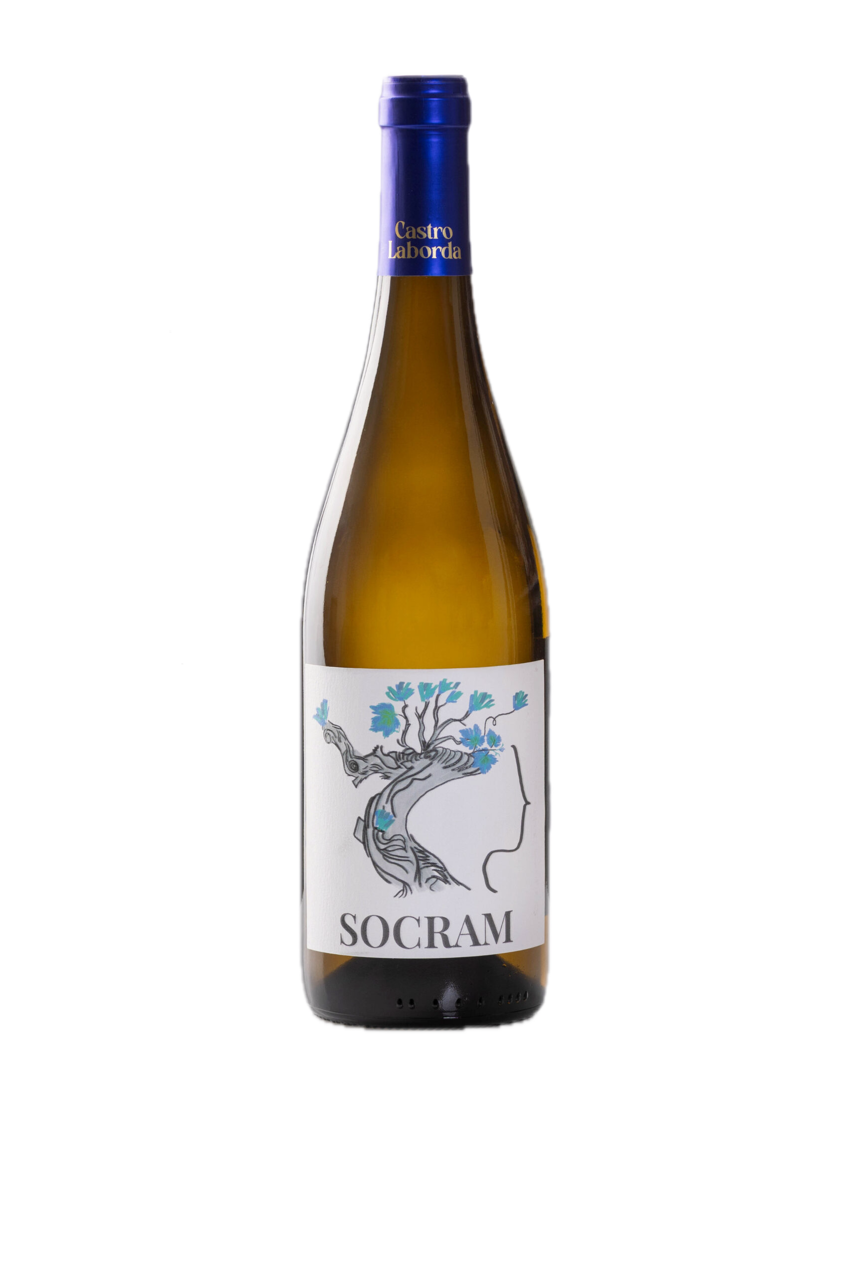 vino socram