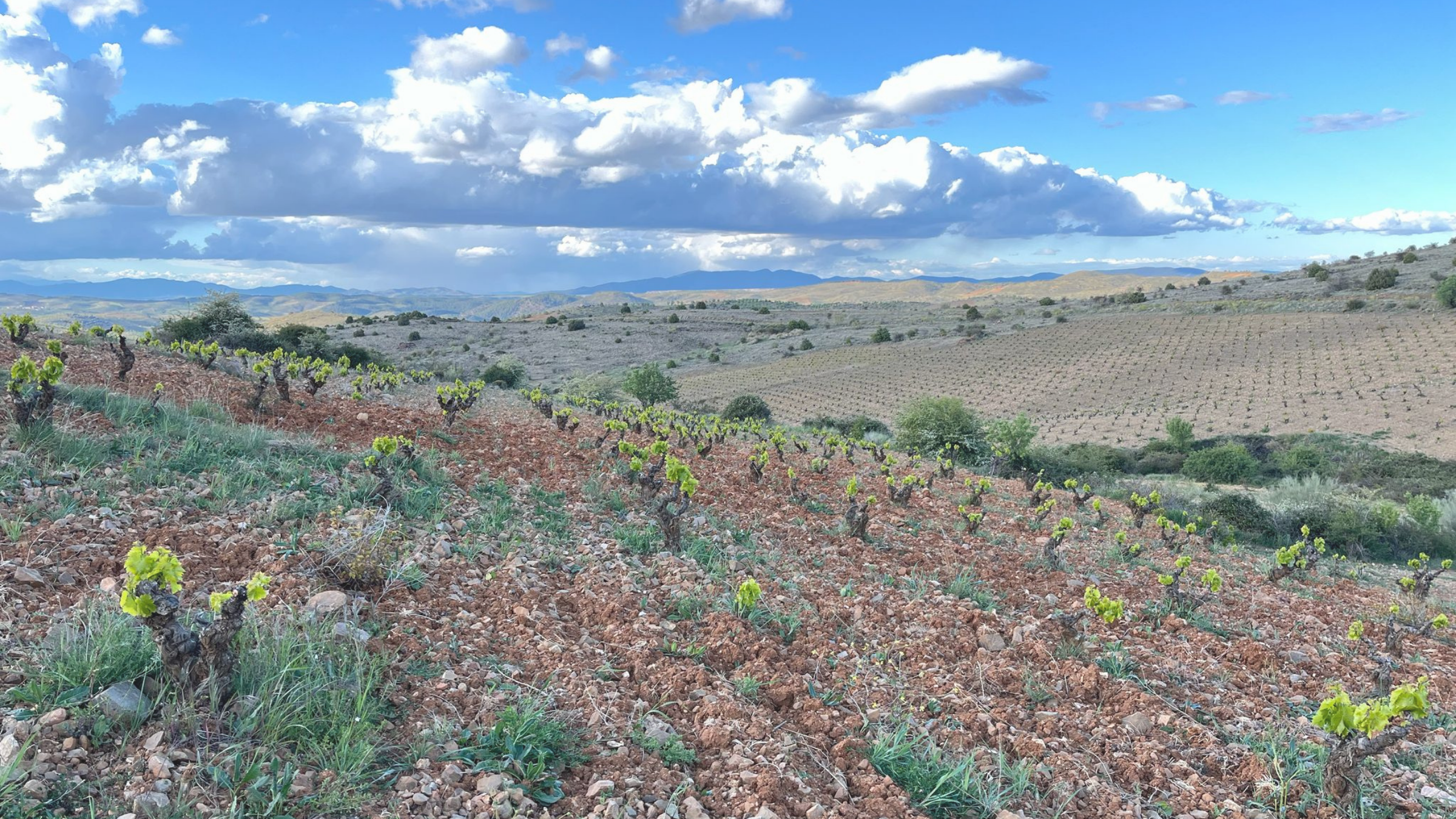 Alma y Tierra Origen