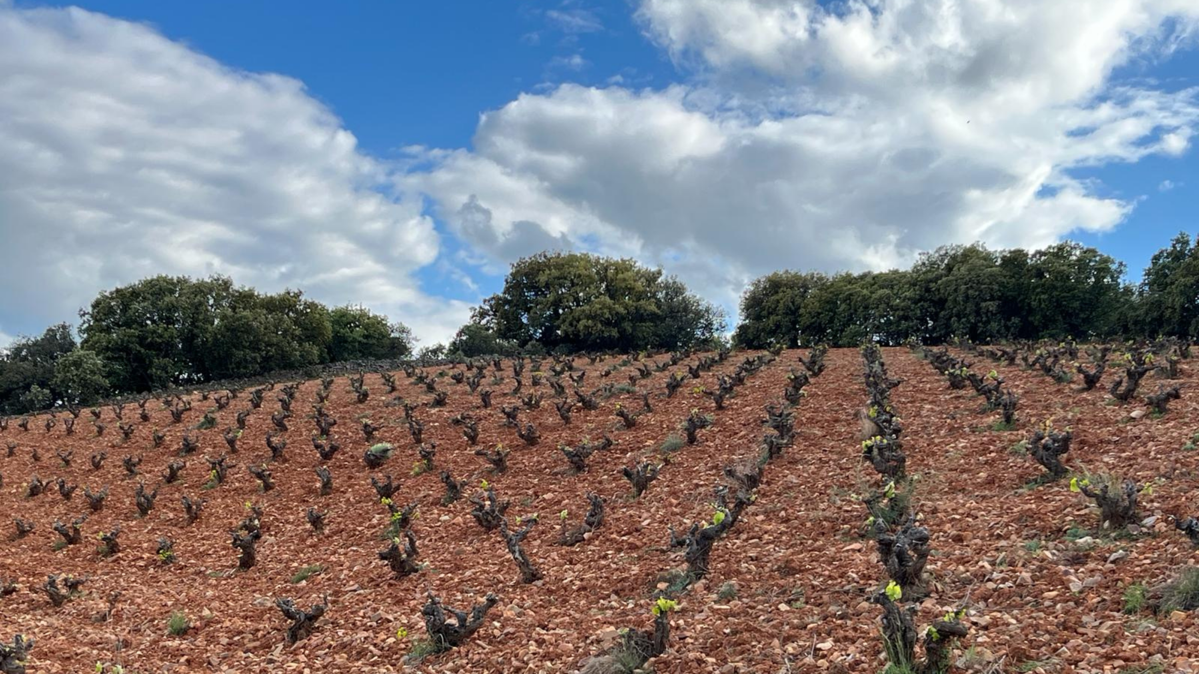 Alma y tierra nuevas direcciones