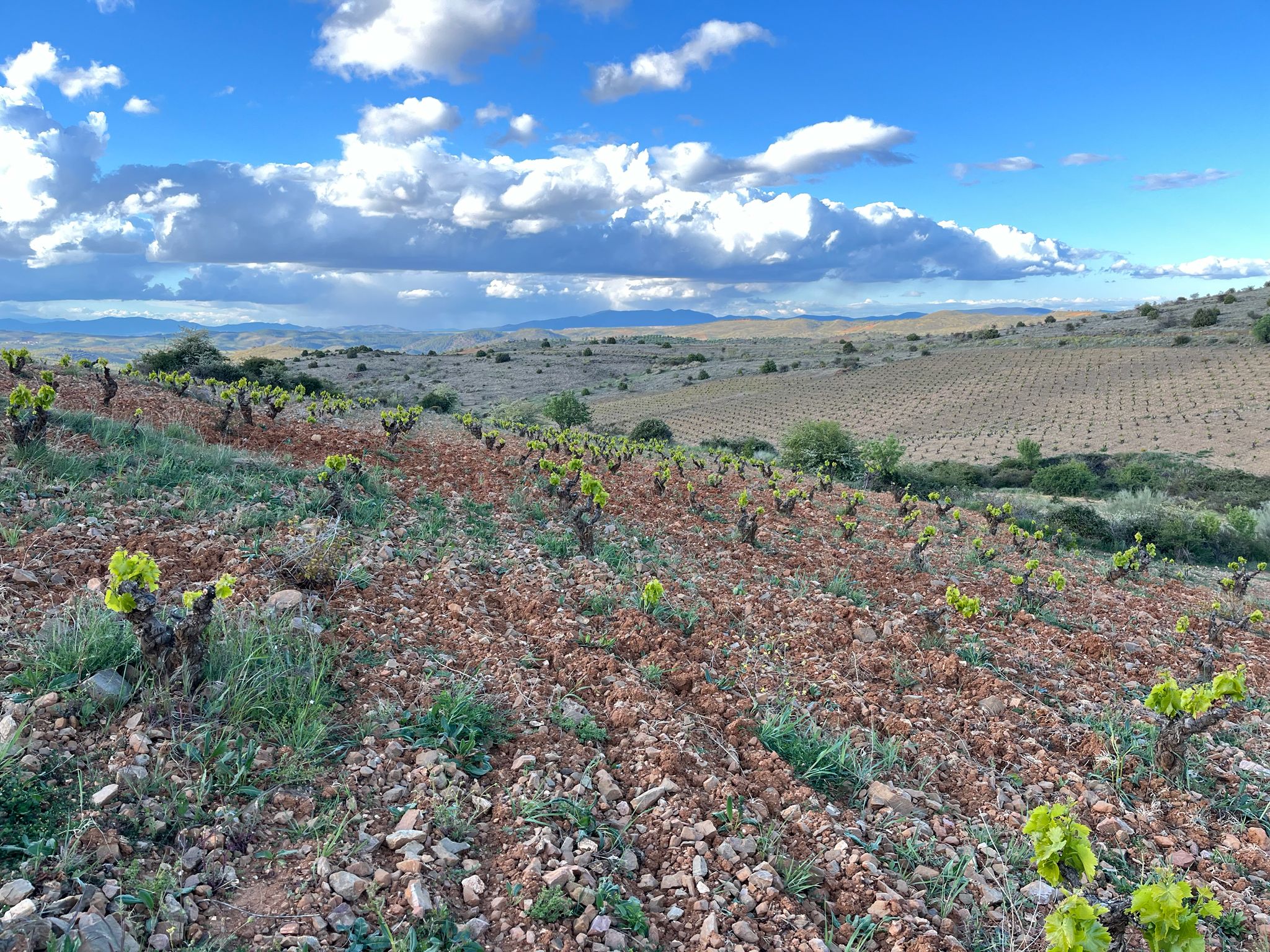 Finca desde Arriba