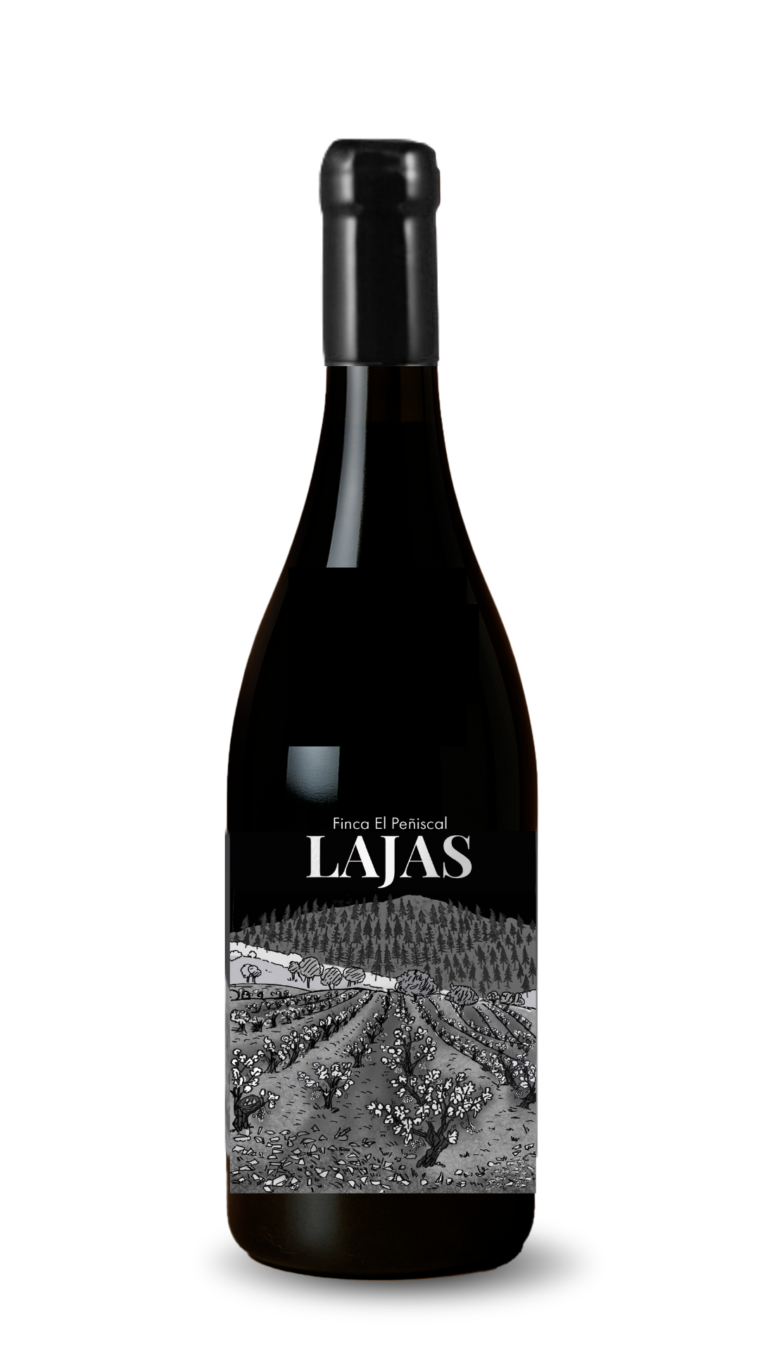 Lajas 2023 Finca el Peniscal