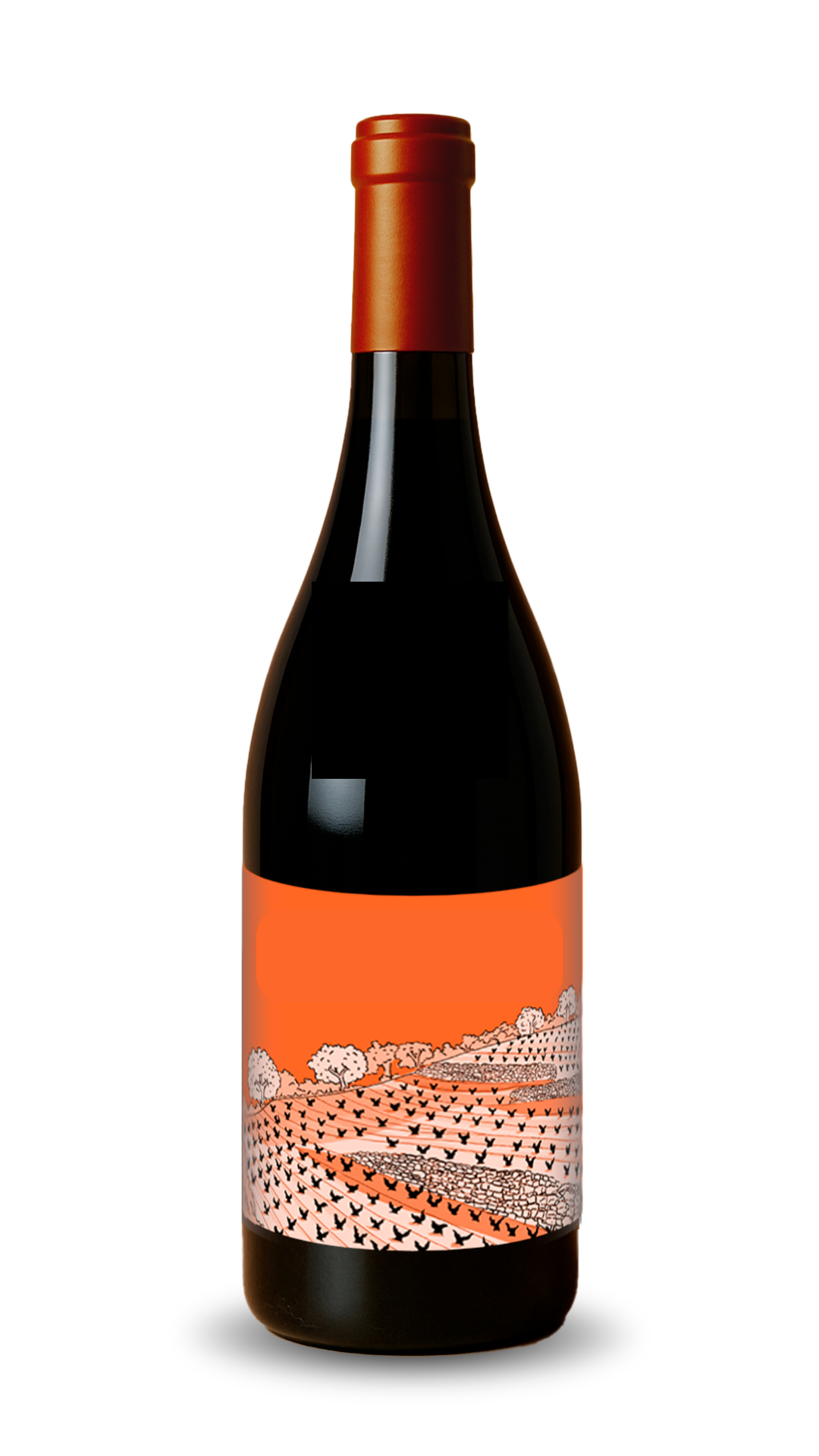 Sin nombre Finca La Perdida