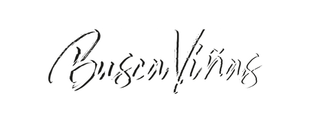 Busca Vinas portada 1