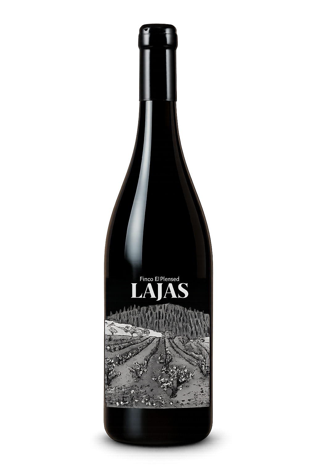 Lajas 2023 Finca el Peniscal2 22