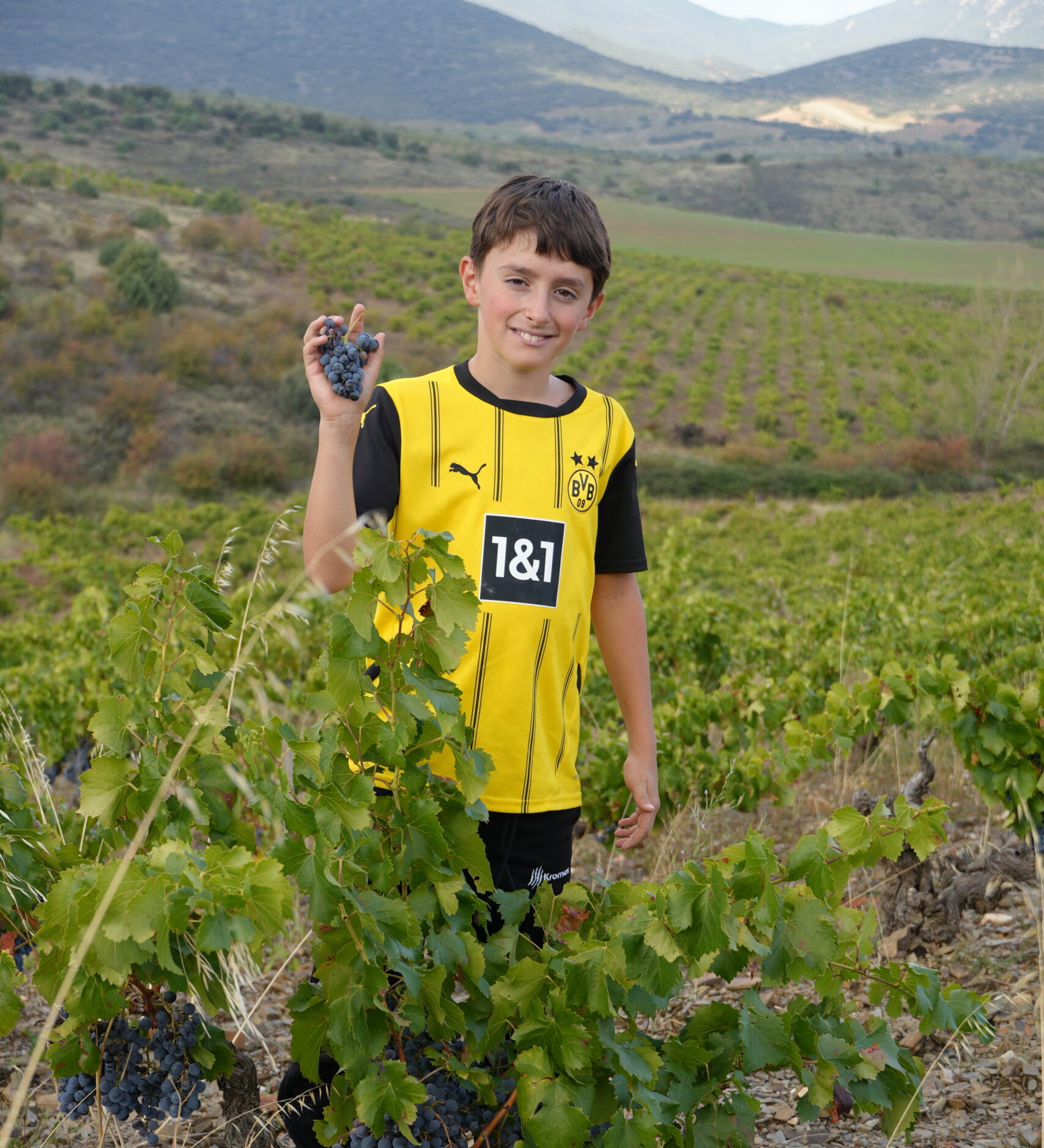 Marcos trabajando entre las viñas