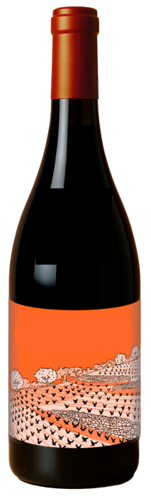 Botella misteriosa